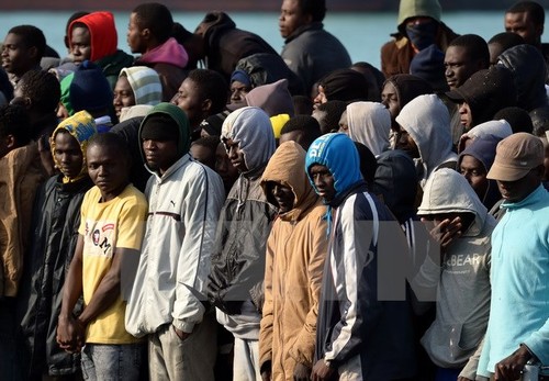 Число нелегальных иммигрантов в Италию продолжает расти  - ảnh 1